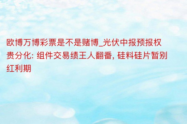 欧博万博彩票是不是赌博_光伏中报预报权贵分化: 组件交易绩王人翻番， 硅料硅片暂别红利期