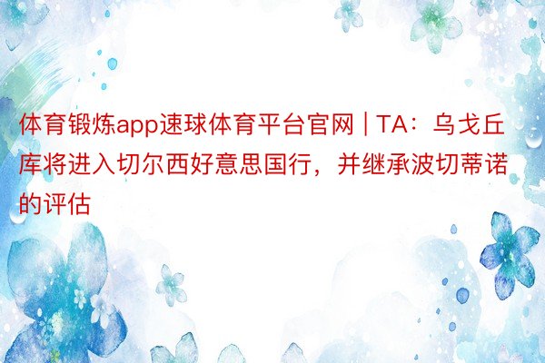 体育锻炼app速球体育平台官网 | TA：乌戈丘库将进入切尔西好意思国行，并继承波切蒂诺的评估