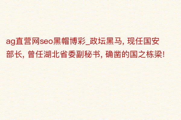 ag直营网seo黑帽博彩_政坛黑马， 现任国安部长， 曾任湖北省委副秘书， 确凿的国之栋梁!